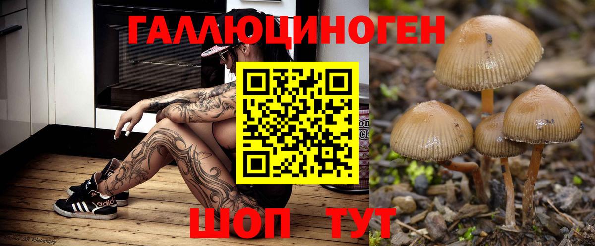 Галлюциногенные грибы ЛСД  Вход с VPN  Одинцово 