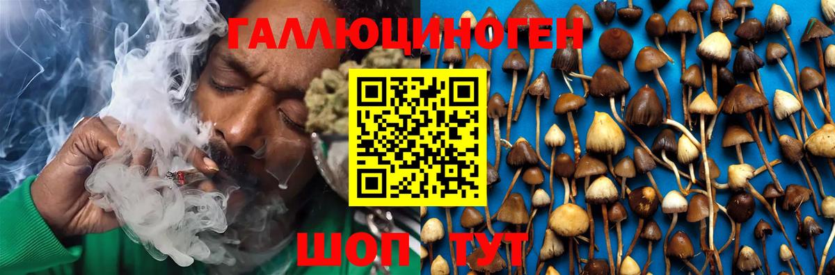 Псилоцибиновые грибы ЛСД Одинцово